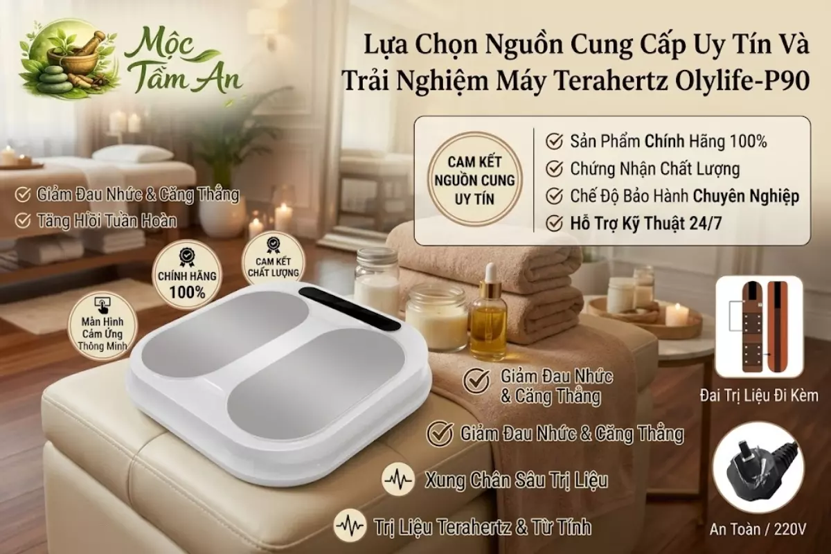 Lựa Chọn Nguồn Cung Cấp Uy Tín Và Trải Nghiệm Máy Terahertz Olylife-P90