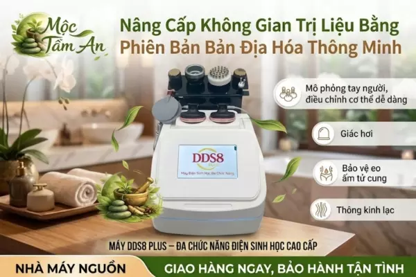 Nâng Cấp Không Gian Trị Liệu Bằng Phiên Bản Bản Địa Hóa Thông Minh