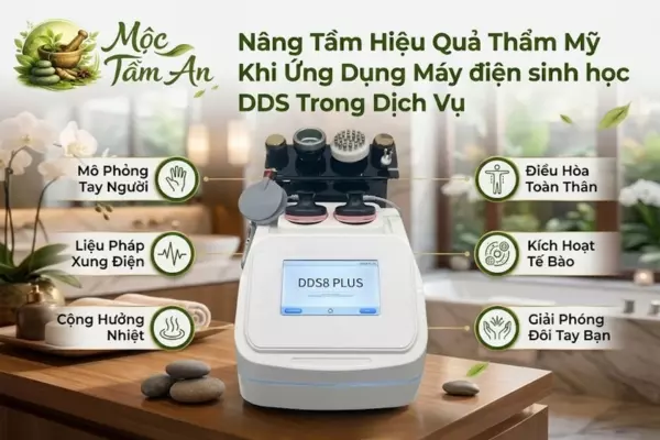 Nâng Tầm Hiệu Quả Thẩm Mỹ Khi Ứng Dụng Máy điện sinh học DDS Trong Dịch Vụ