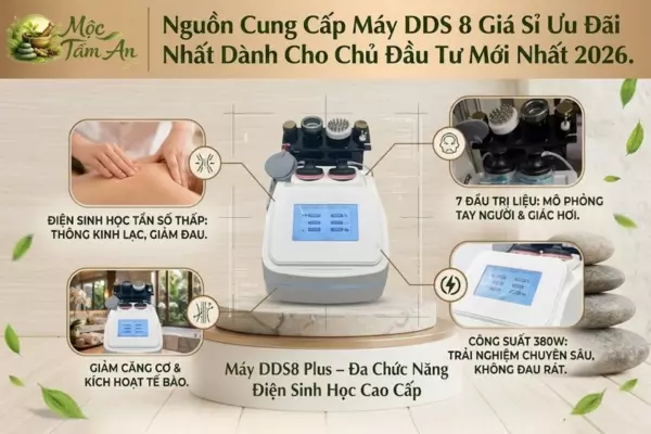 Nguồn Cung Cấp Máy DDS 8 Giá Sỉ Ưu Đãi Nhất Dành Cho Chủ Đầu Tư Mới Nhất 2026