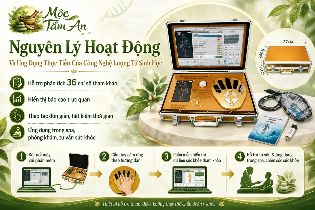 Nguyên Lý Hoạt Động Và Ứng Dụng Thực Tiễn Của Công Nghệ Lượng Tử Sinh Học