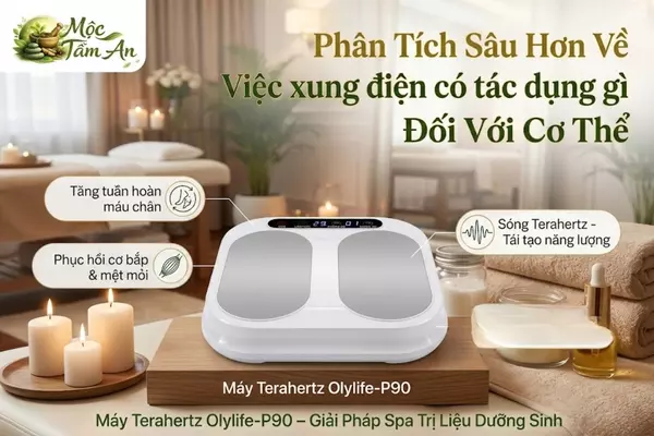 Phân Tích Sâu Hơn Về Việc xung điện có tác dụng gì Đối Với Cơ Thể
