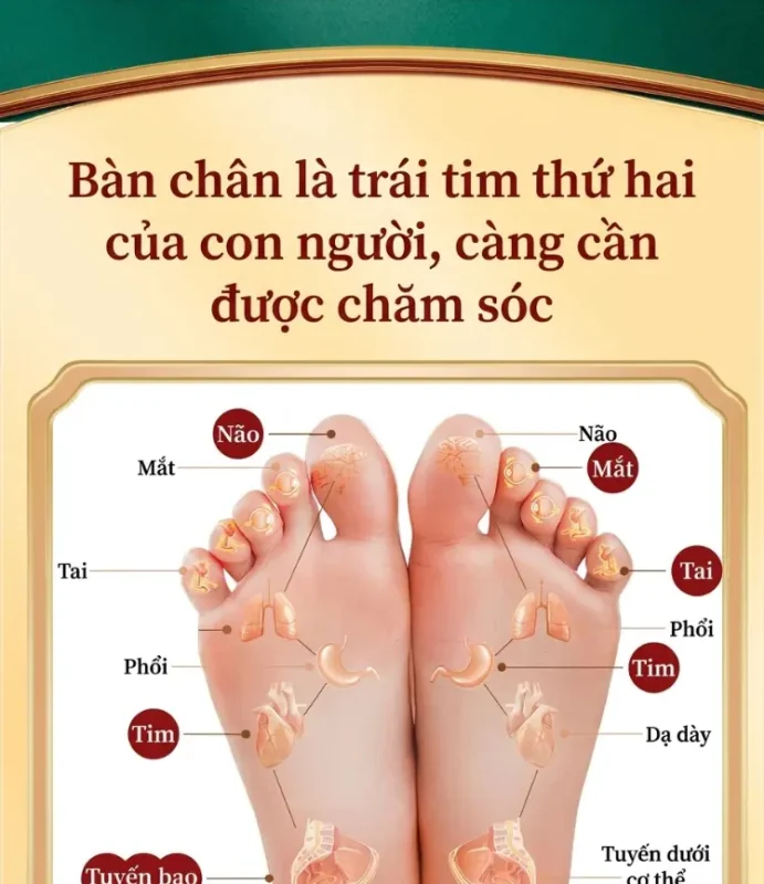 Cao Dán Thải Độc Chân 1 Hộp 50 Miếng – Hỗ Trợ Thư Giãn, Chăm Sóc Bàn Chân Mỗi Ngày
