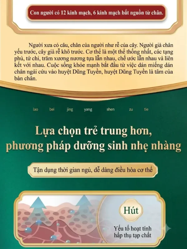 Cao Dán Thải Độc Chân 1 Hộp 50 Miếng – Hỗ Trợ Thư Giãn, Chăm Sóc Bàn Chân Mỗi Ngày
