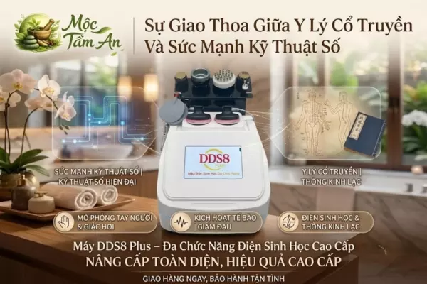 Sự Giao Thoa Giữa Y Lý Cổ Truyền Và Sức Mạnh Kỹ Thuật Số