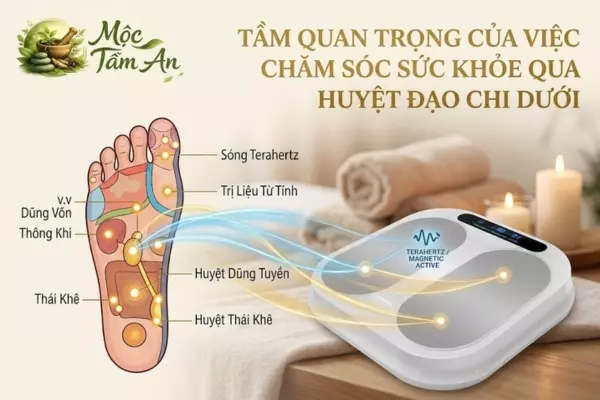 Tầm Quan Trọng Của Việc Chăm Sóc Sức Khỏe Qua Huyệt Đạo Chi Dưới