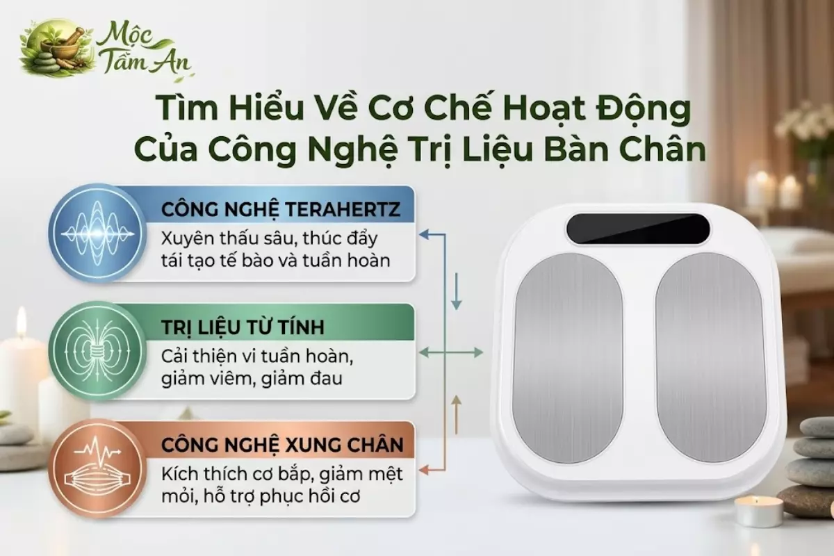 Tìm Hiểu Về Cơ Chế Hoạt Động Của Công Nghệ Trị Liệu Bàn Chân