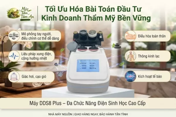Tối Ưu Hóa Bài Toán Đầu Tư Kinh Doanh Thẩm Mỹ Bền Vững