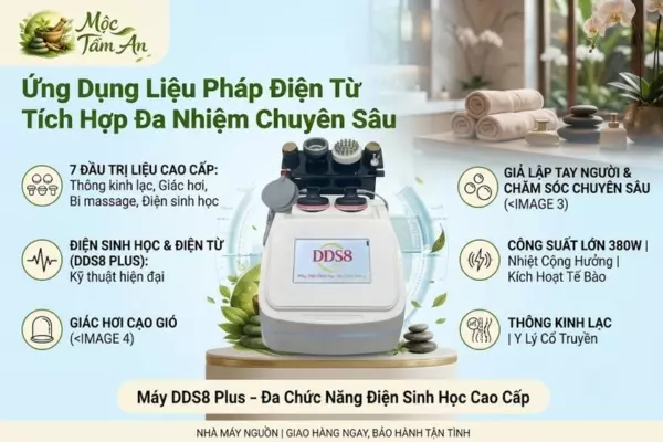 Ứng Dụng Liệu Pháp Điện Từ Tích Hợp Đa Nhiệm Chuyên Sâu