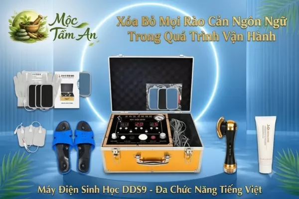 Xóa Bỏ Mọi Rào Cản Ngôn Ngữ Trong Quá Trình Vận Hành