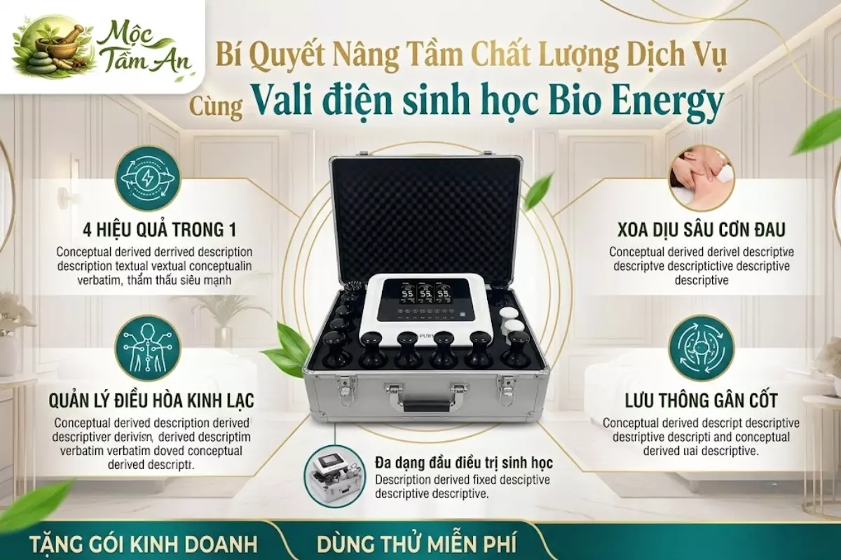 Bí Quyết Nâng Tầm Chất Lượng Dịch Vụ Cùng Vali điện sinh học Bio Energy