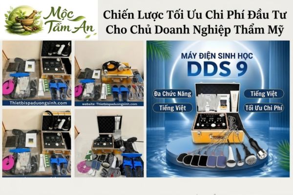 Chiến Lược Tối Ưu Chi Phí Đầu Tư Cho Chủ Doanh Nghiệp Thẩm Mỹ