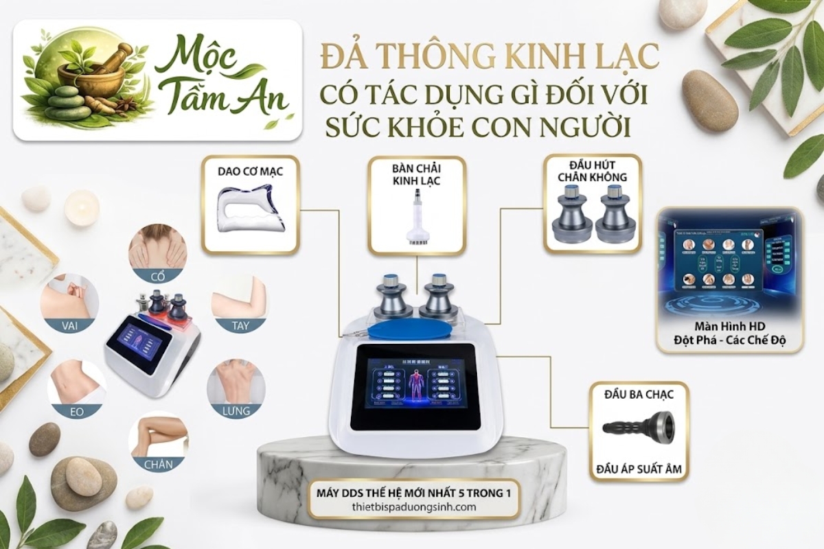 Đả Thông Kinh Lạc Có Tác Dụng Gì Đối Với Sức Khỏe Con Người