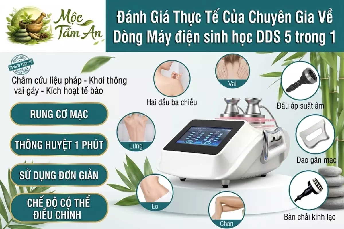 Đánh Giá Thực Tế Của Chuyên Gia Về Dòng Máy điện sinh học DDS 5 trong 1