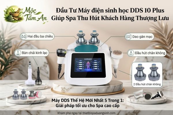 Đầu Tư Máy điện sinh học DDS 10 Plus Giúp Spa Thu Hút Khách Hàng Thượng Lưu