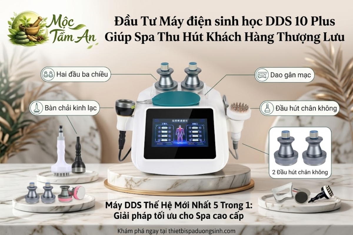 Đầu Tư Máy điện sinh học DDS 10 Plus Giúp Spa Thu Hút Khách Hàng Thượng Lưu