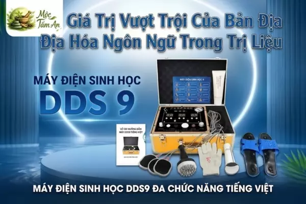 Giá Trị Vượt Trội Của Bản Địa Hóa Ngôn Ngữ Trong Trị Liệu