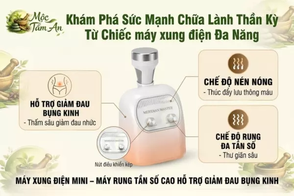 Khám Phá Sức Mạnh Chữa Lành Thần Kỳ Từ Chiếc Máy Xung Điện Đa Năng