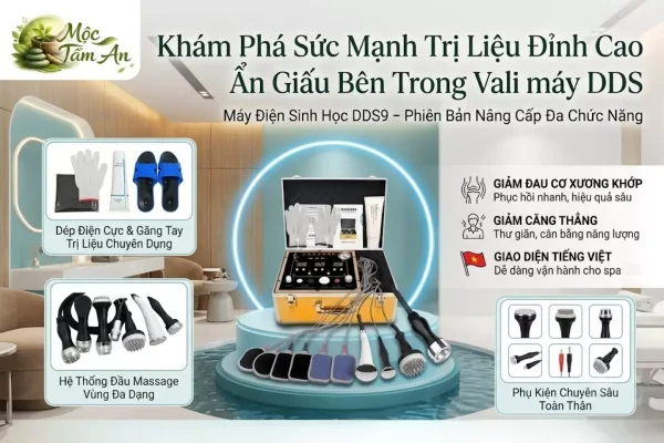 khám phá sức mạnh trị liệu đỉnh cao ẩn giấu bên trong vali máy dds