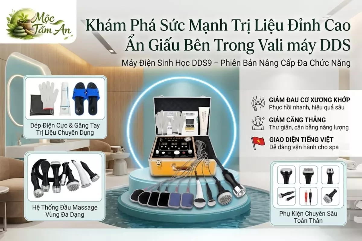 khám phá sức mạnh trị liệu đỉnh cao ẩn giấu bên trong vali máy dds