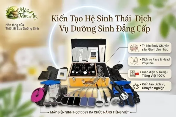 Kiến Tạo Hệ Sinh Thái Dịch Vụ Dưỡng Sinh Đẳng Cấp