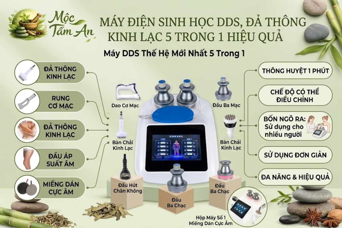 Máy Điện Sinh Học DDS, Đả Thông Kinh Lạc 5 Trong 1 Hiệu Quả