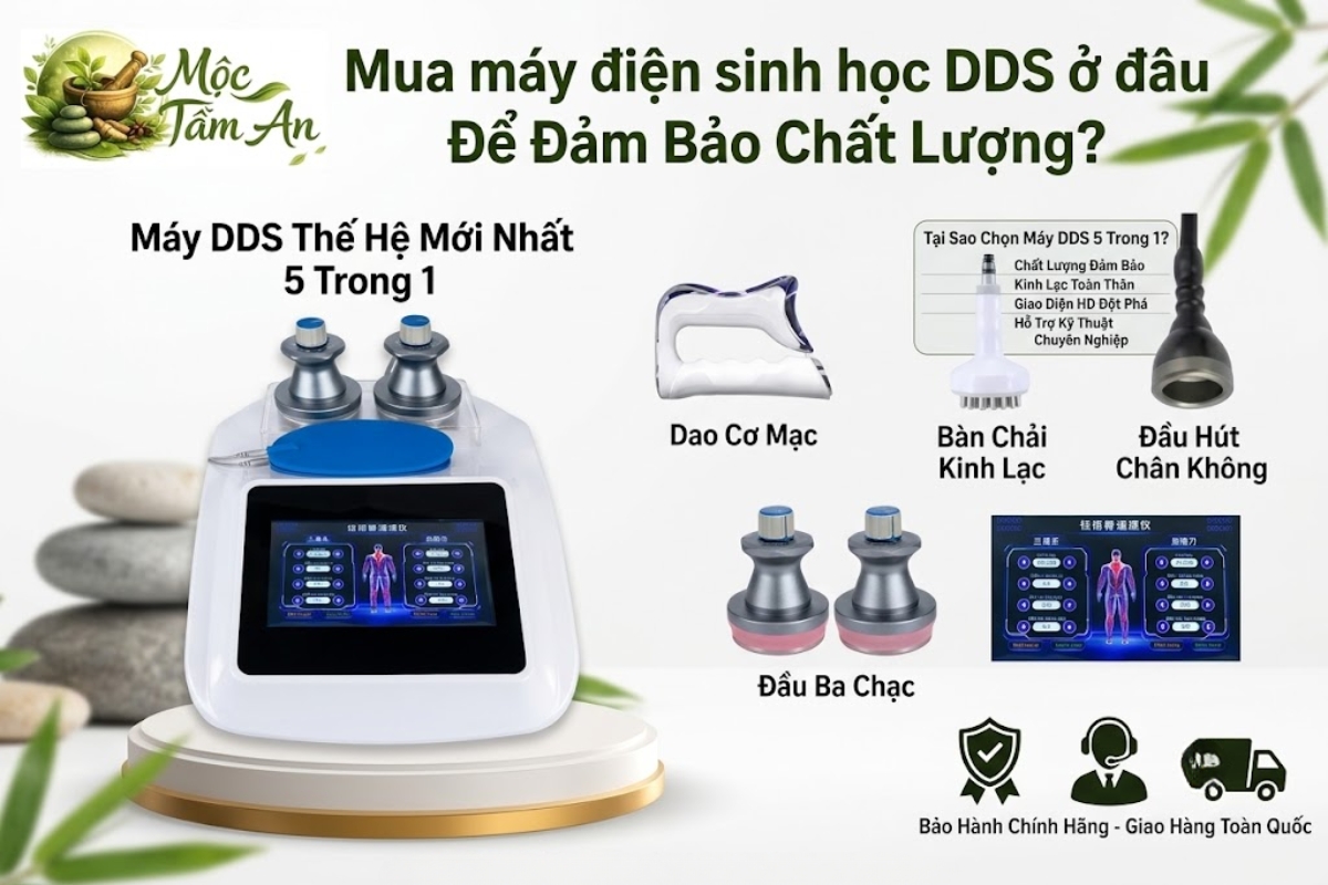 Mua máy điện sinh học DDS ở đâu Để Đảm Bảo Chất Lượng?