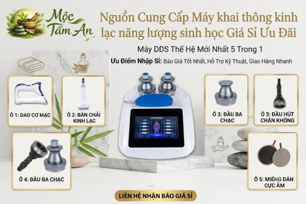 Nguồn Cung Cấp Máy khai thông kinh lạc năng lượng sinh học Giá Sỉ Ưu Đãi