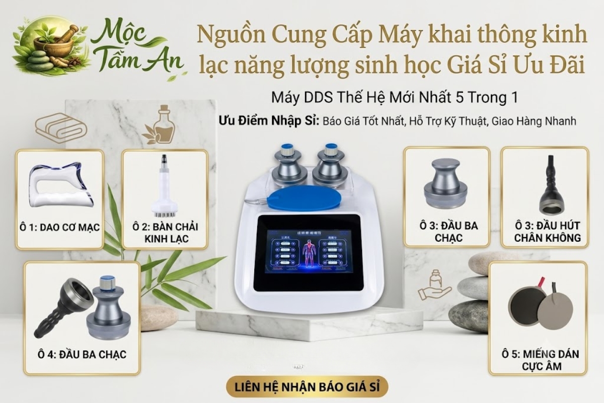 Nguồn Cung Cấp Máy khai thông kinh lạc năng lượng sinh học Giá Sỉ Ưu Đãi