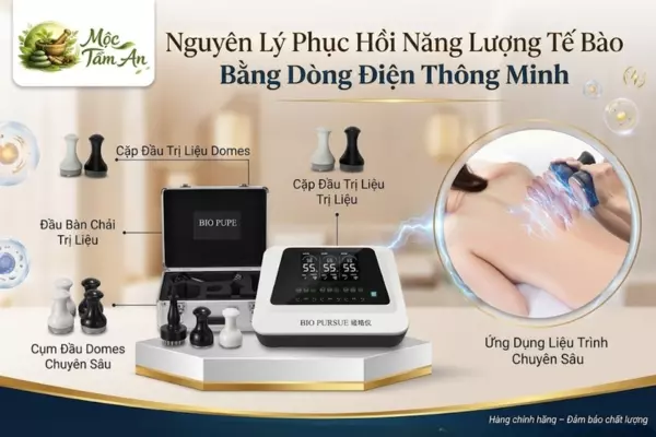 Nguyên Lý Phục Hồi Năng Lượng Tế Bào Bằng Dòng Điện Thông Minh