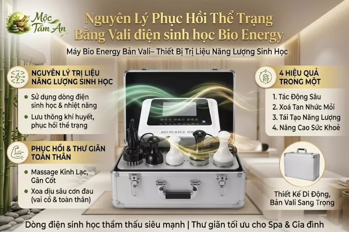 Nguyên Lý Phục Hồi Thể Trạng Bằng Vali điện sinh học Bio Energy