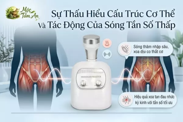 Sự Thấu Hiểu Cấu Trúc Cơ Thể Và Tác Động Của Sóng Tần Số Thấp